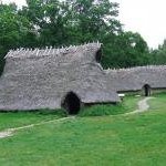 Rock Carvings in Tanum by john booth