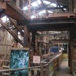 Cornwall and West Devon Mining Landscape by Eva Kisgyorgy