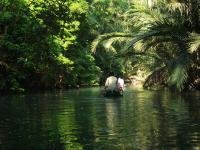 Ujung Kulon National Park by Elisabeth Fransisca Situmorang