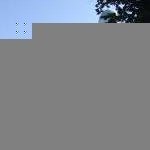 White Monuments of Vladimir and Suzdal by Anonymous WHS Traveller