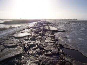 Wadden Sea by Ian Cade