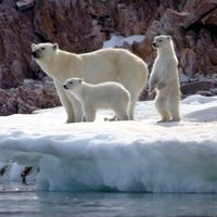 Svalbard Archipelago by Solivagant