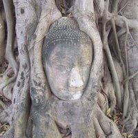 Ayutthaya by Ian Cade