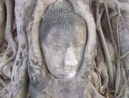 Ayutthaya by Ian Cade