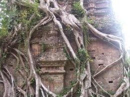 Sambor Prei Kuk by Ian Cade