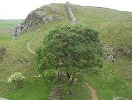 Frontiers of the Roman Empire by Ian Cade