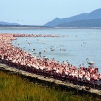 Kenya Lake System by Solivagant