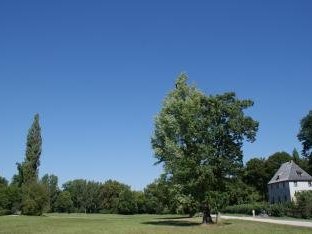 Classical Weimar by Hubert