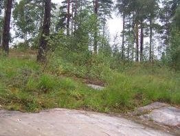 Rock Carvings in Tanum by Ian Cade