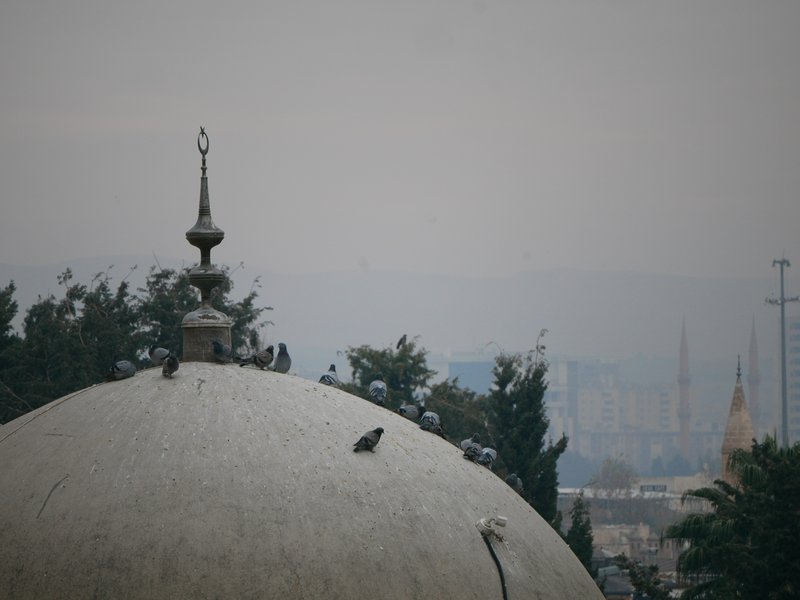 Urfa skies with bird