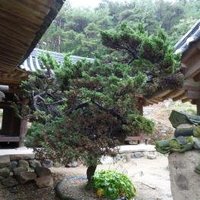 Hahoe and Yangdong by Ian Cade