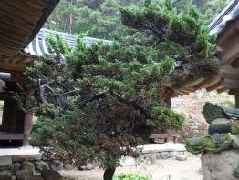 Hahoe and Yangdong by Ian Cade