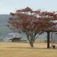 Gochang, Hwasun, and Ganghwa Dolmen by Ian Cade