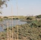 Azraq by Walter