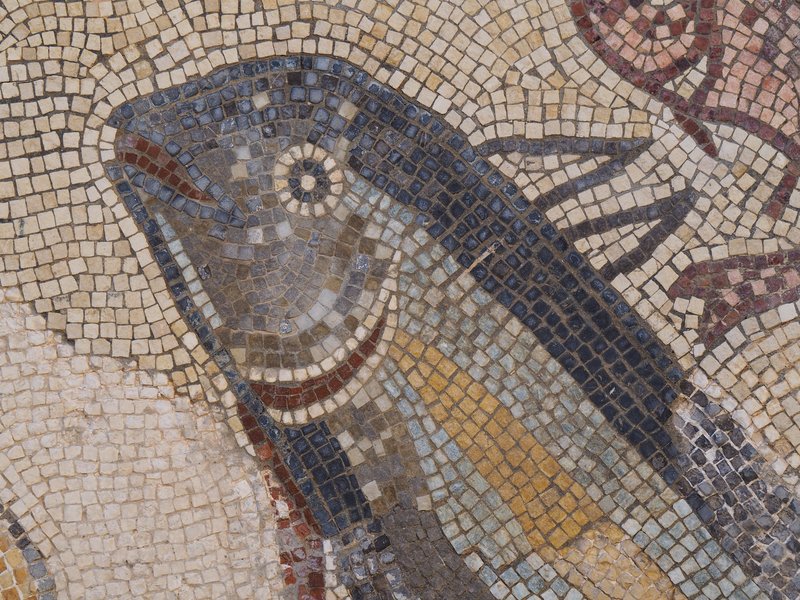 Un bain privé orné de mosaïques représentant des poissons.