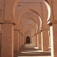 Mosquée de Tinmel by Walter