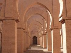 Mosquée de Tinmel by Walter