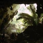 Thungyai-Huai Kha Khaeng by Frederik Dawson