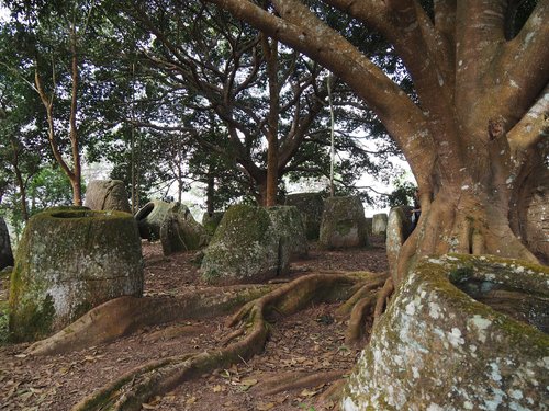 Plain of jars site 2