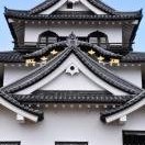 Hikone-Jo by Frederik Dawson