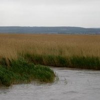 Fertö/Neusiedlersee by Hubert