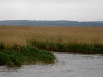 Fertö/Neusiedlersee by Hubert