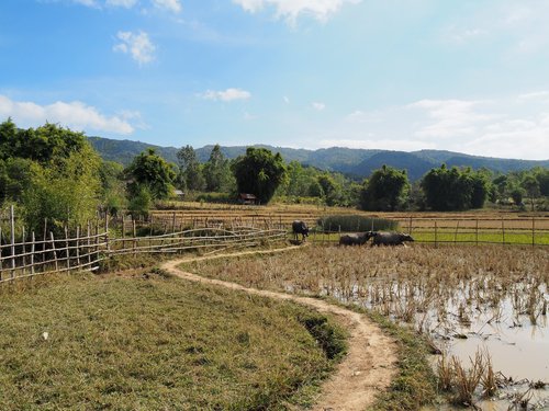 The way to the site 3