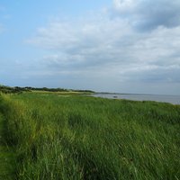 Het Oerd nature reserve