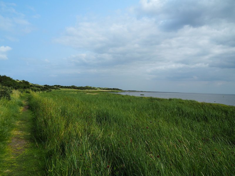 Het Oerd nature reserve