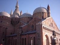 Botanical Garden, Padua by Clyde