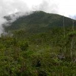 Mount Hamiguitan by Boj