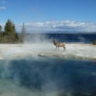 Yellowstone by Ian Cade