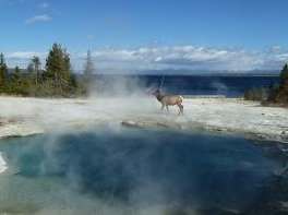 Yellowstone by Ian Cade