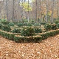 Aranjuez by Ian Cade