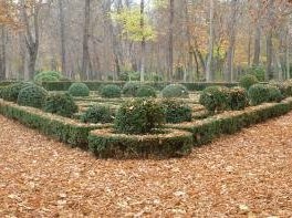 Aranjuez by Ian Cade