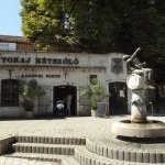 Tokaji Wine Region by john booth