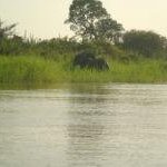 W-Arly-Pendjari Complex by Szucs Tamas