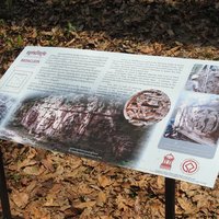 Plaque of Sambor Prei Kuk