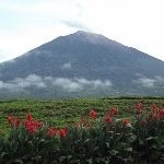 Tropical Rainforest Sumatra by john booth