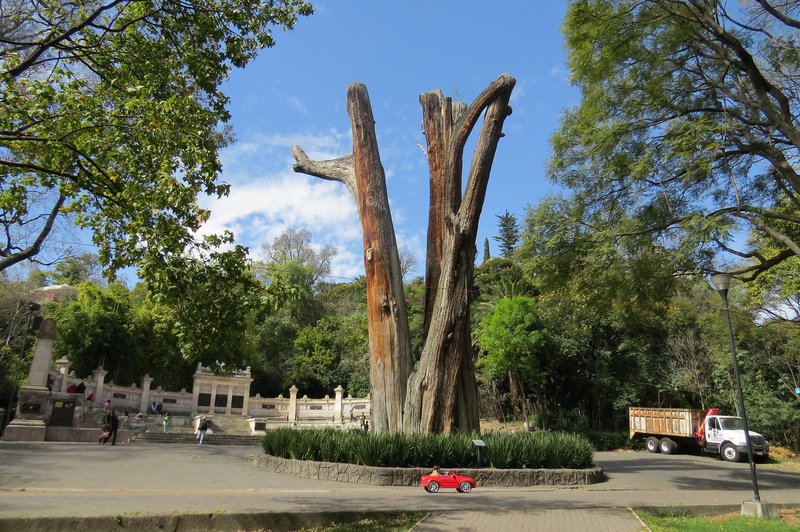 Chapultepec Woods, Hill and Castle by Els Slots