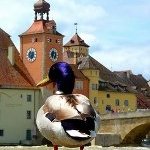 Regensburg by Clyde
