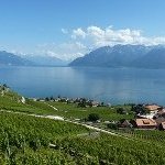 Lavaux, Vineyard Terraces by Clyde