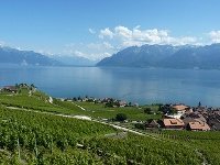Lavaux, Vineyard Terraces by Clyde