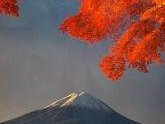 Fujisan by Clyde