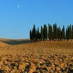 Val d'Orcia by Clyde