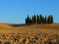 Val d'Orcia by Clyde