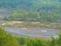 Messel Pit by Clyde