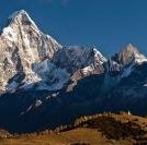Sichuan Giant Panda Sanctuaries by Frederik Dawson