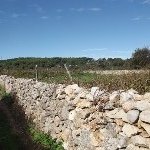 Stari Grad Plain by john booth
