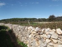 Stari Grad Plain by john booth